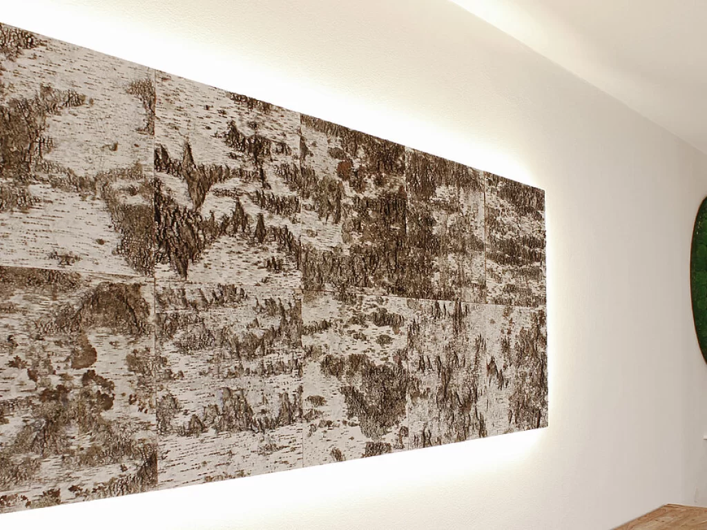 Birch bark
